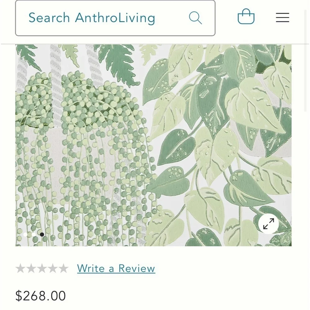 NWT Anthropologie Cole & Son Fern Wallpaper